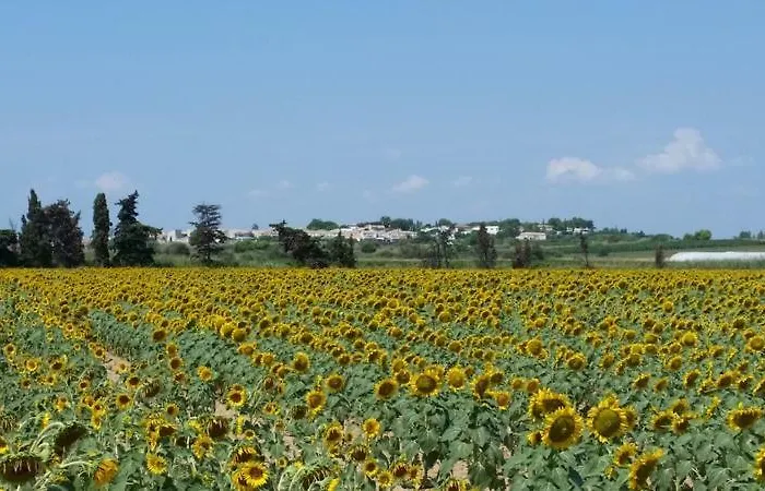 Villa Manet *